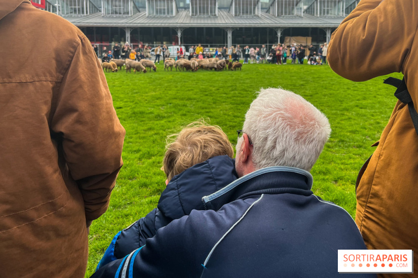Transhumance à la Villette - C455CCC6 0ADA 4DBE 94CA DA1F5783DC69
