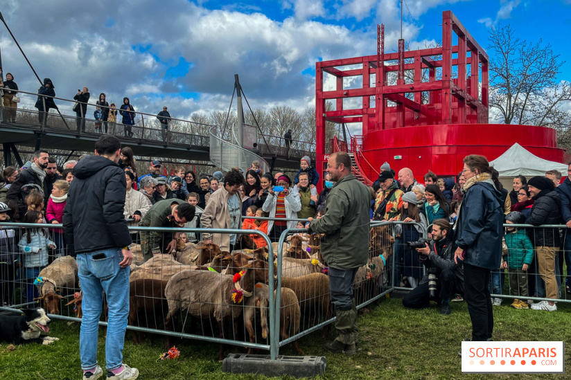 Transhumance à la Villette - 12DEEB42 3825 458D A5AC BC78843AA6F9