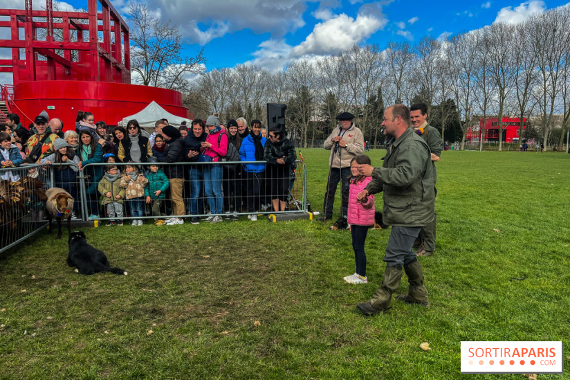 Transhumance à la Villette - 5D92AC66 82B9 47DC 963D F331C44EAAAB
