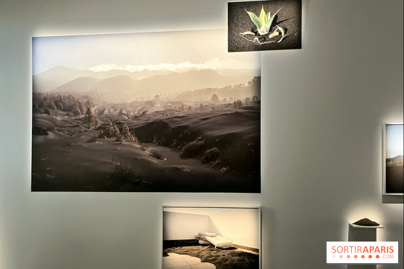 Circulation(s), le festival de la jeune photographie européenne au Centquatre - EEE2D674 7373 43B1 94CC 9B8160130950