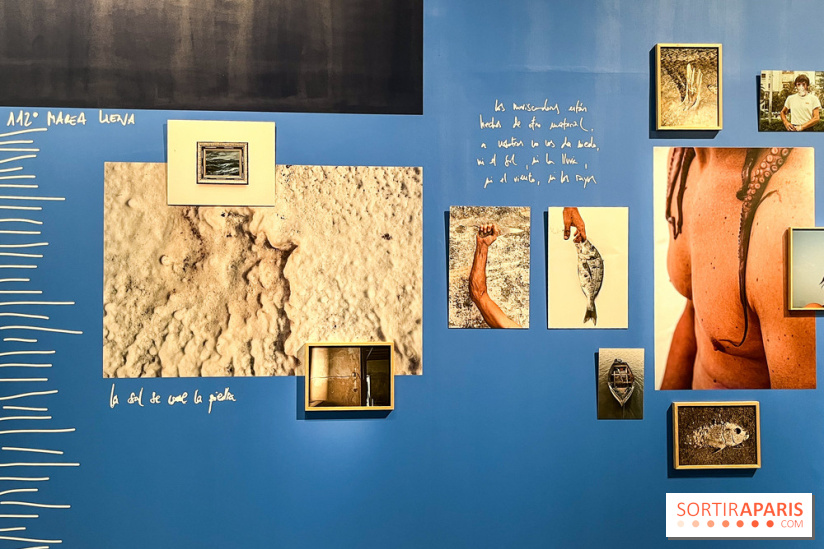 Circulation(s), le festival de la jeune photographie européenne au Centquatre - B9AD0948 22E6 4FBF B48F 025A6EA6BE21