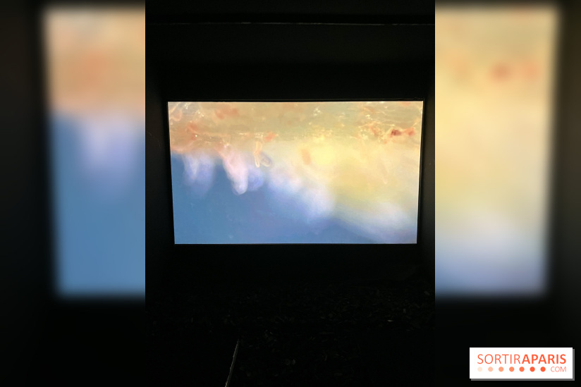 Circulation(s), le festival de la jeune photographie européenne au Centquatre - 09D6C032 A55C 45E6 82D7 5F63895997F8