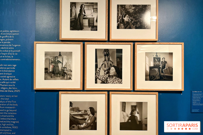 Surréalisme au féminin, l'exposition libératrice au Musée de Montmartre  - IMG 1365