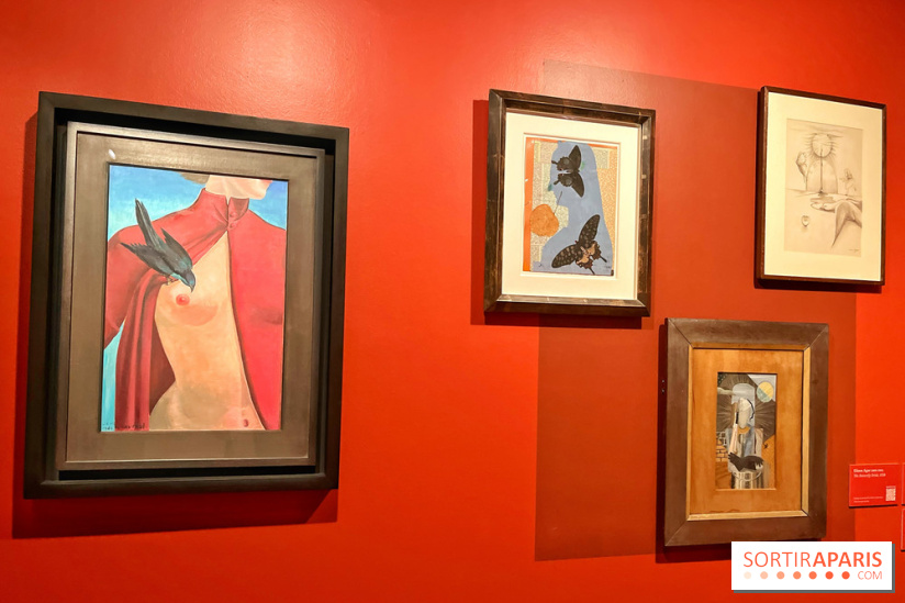 Surréalisme au féminin, l'exposition libératrice au Musée de Montmartre  - IMG 1395