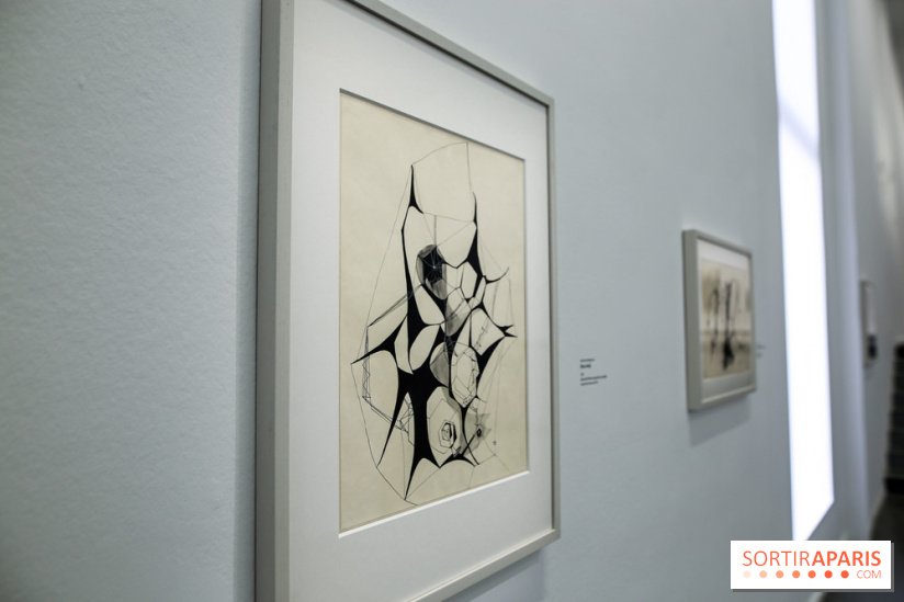 Anna-Eva Bergman, nos photos de l'expo à Paris