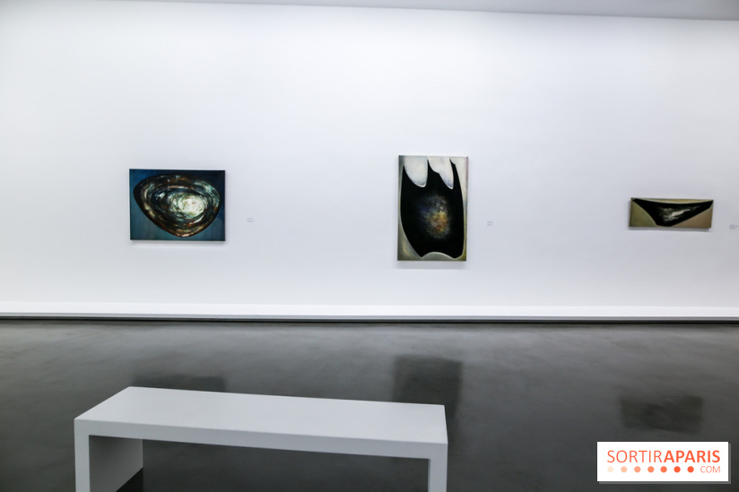 Anna-Eva Bergman, nos photos de l'expo à Paris - IMG 8979