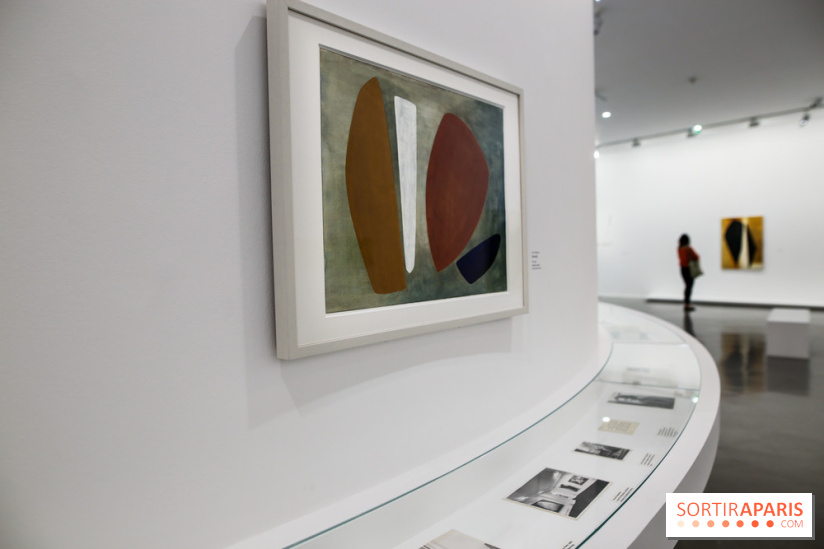 Anna-Eva Bergman, nos photos de l'expo à Paris - IMG 8983