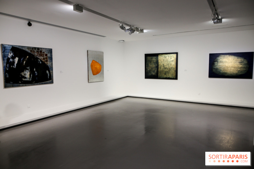 Anna-Eva Bergman, nos photos de l'expo à Paris - IMG 8992