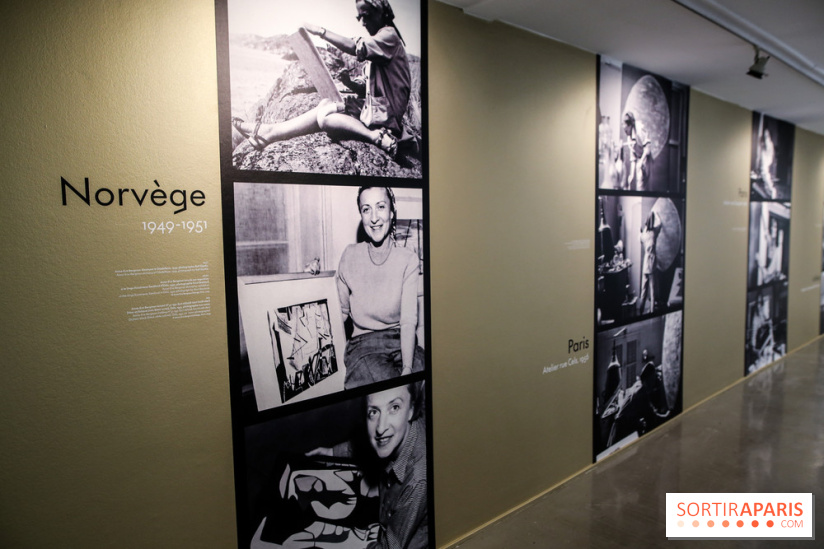 Anna-Eva Bergman, nos photos de l'expo à Paris - IMG 8999