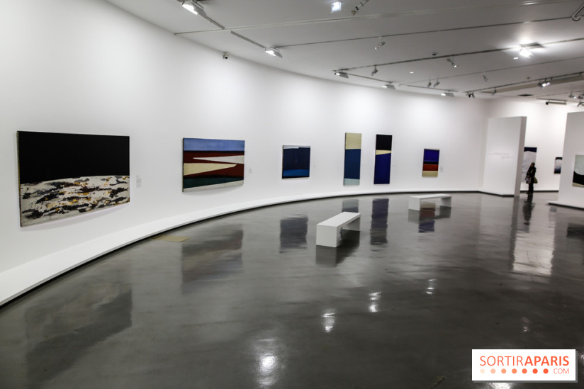 Anna-Eva Bergman, nos photos de l'expo à Paris - IMG 9003