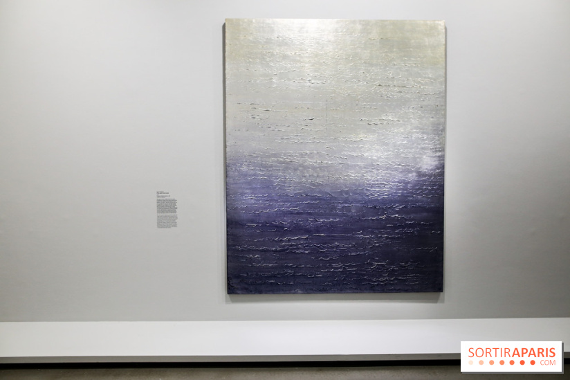 Anna-Eva Bergman, nos photos de l'expo à Paris - IMG 9007