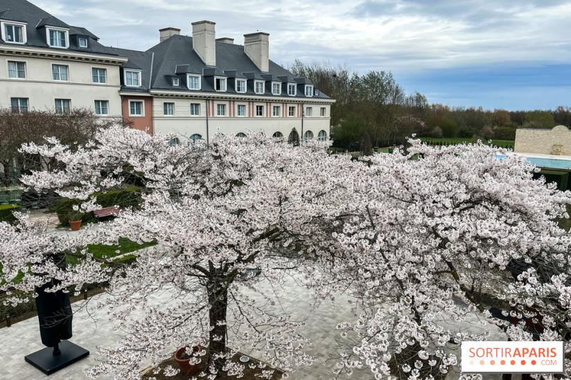 Dream Castle Hôtel, le 4**** familial à côté de Disneyland - DF1D65F8 045F 4FB6 916A B951B8CA8D26