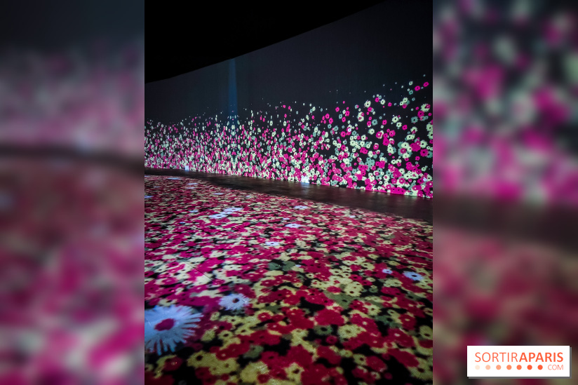 Songlines, l'exposition du musée du Quai Branly qui nous plonge dans les légendes australiennes  - IMG20230403101241