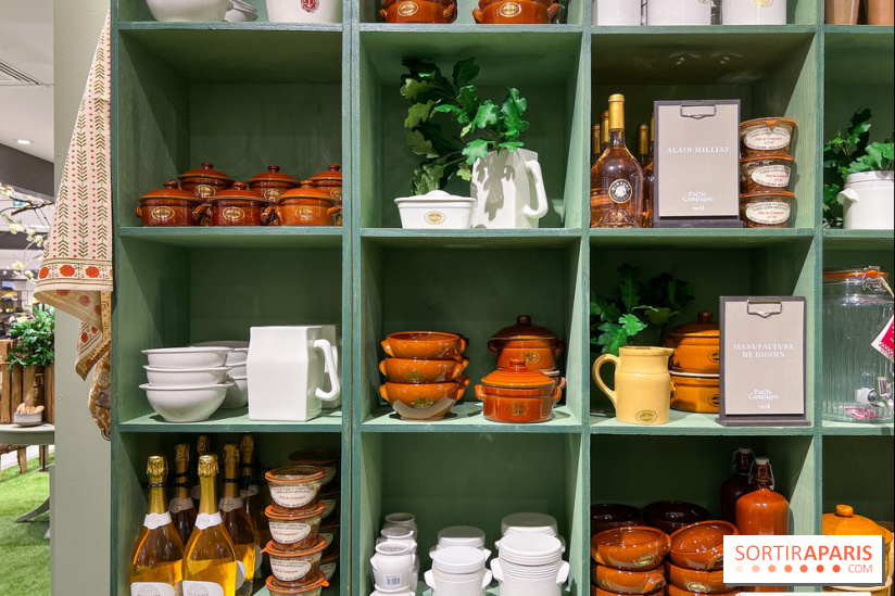 Partie de Campagne au BHV - image00013