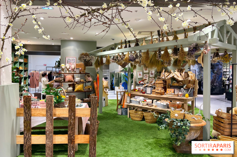 Partie de Campagne au BHV - image00015