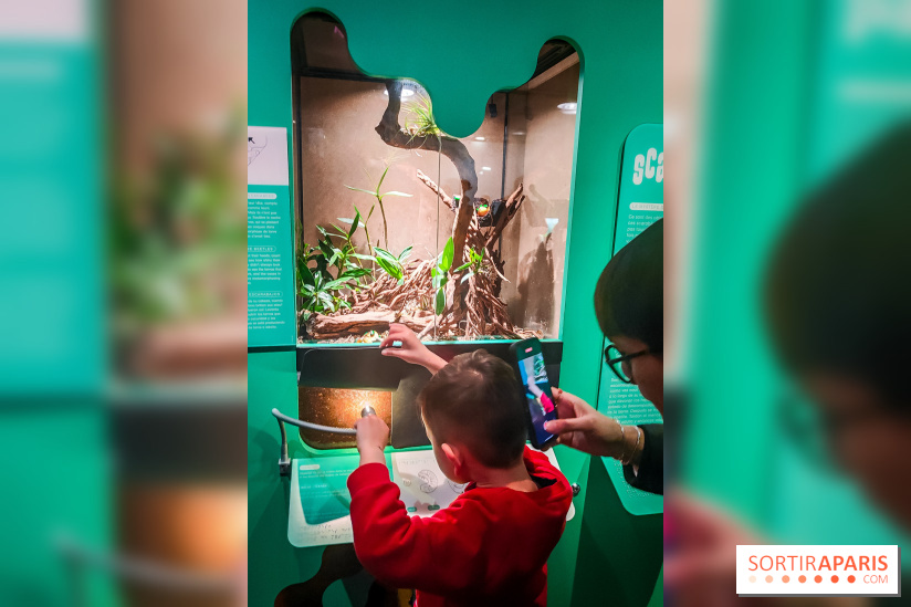 Métamorphoses, l'exposition poétique à découvrir à la Cité des Sciences et de l'Industrie  - IMG20230405144412