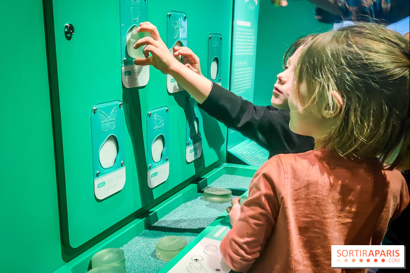 Métamorphoses, l'exposition poétique à découvrir à la Cité des Sciences et de l'Industrie