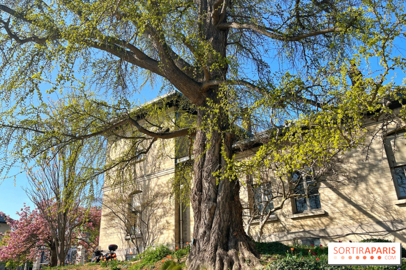 Le Jardin des Serres d'Auteuil - IMG 1492