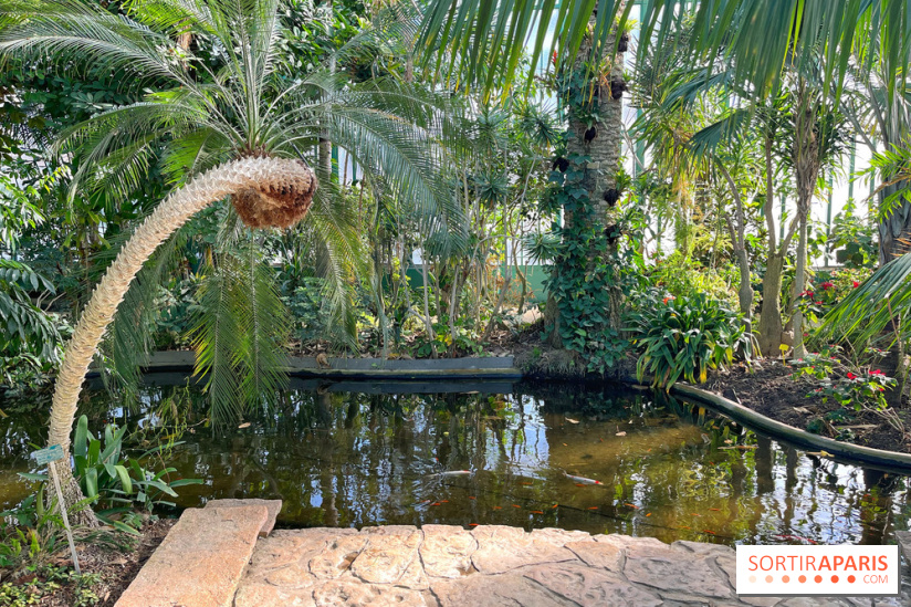 Le Jardin des Serres d'Auteuil - IMG 1525
