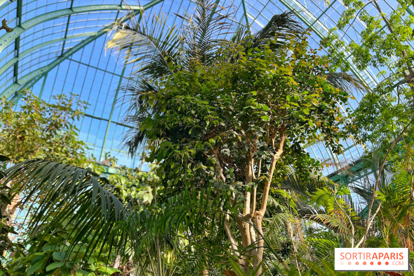Le Jardin des Serres d'Auteuil - IMG 1550