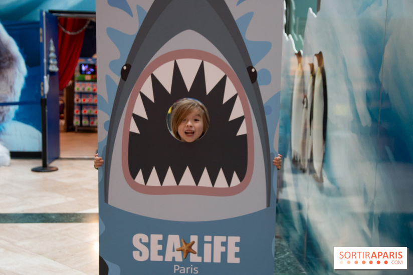 Aquarium Sea Life - IMG 8409