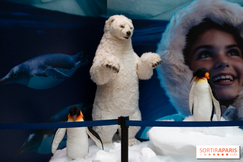 Aquarium Sea Life - IMG 8401