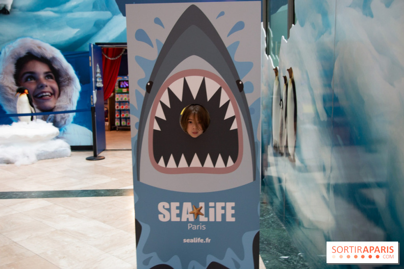 Aquarium Sea Life - IMG 8403