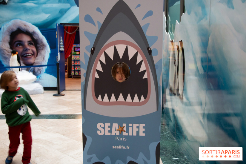 Aquarium Sea Life - IMG 8404