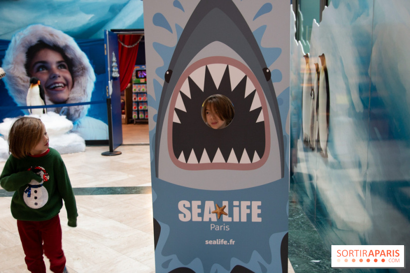 Aquarium Sea Life - IMG 8405