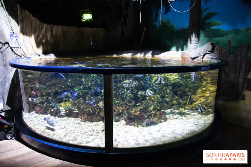 Aquarium Sea Life