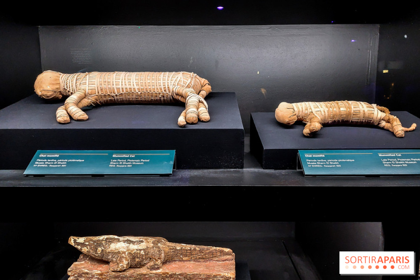 Ramsès et l’or des pharaons, nos photos de l'expo - 20230406 093858