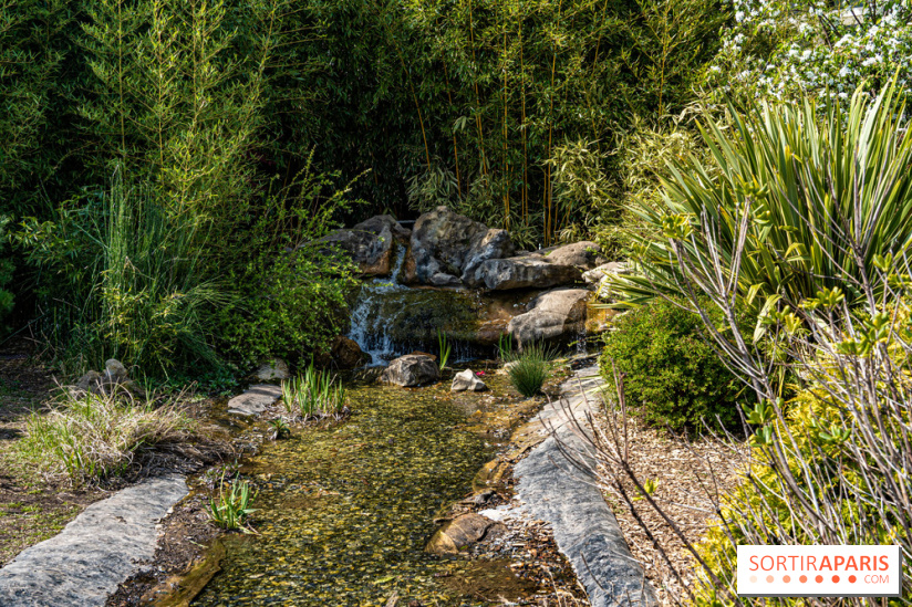 Square Médéric Colombes - jardin japonais 92 -  A7C9951