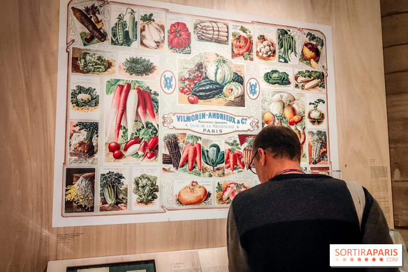 Paris, capitale de la gastronomie : l'exposition qui nous donne faim à la Conciergerie - photos - IMG20230412104651