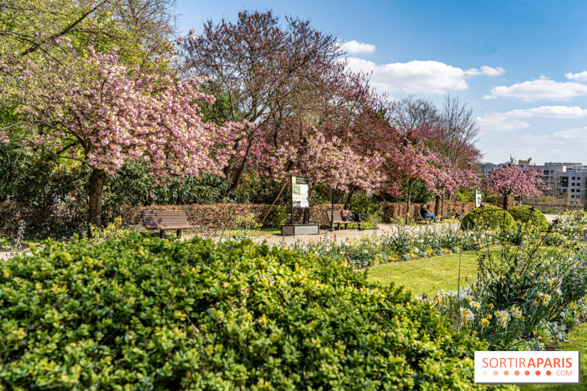 Parc de Bécon à Courbevoie - Pavillon des Indes - Cerisiers en fleurs