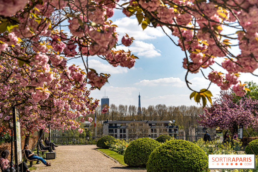 Parc de Bécon à Courbevoie - Pavillon des Indes - Cerisiers en fleurs