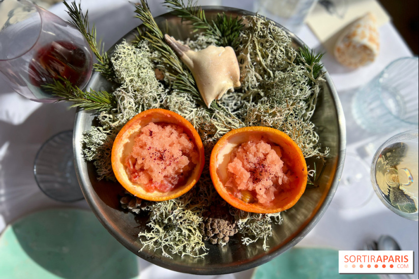 Alice Arnoux au Perchoir Ménilmontant - Pomelo et araignée