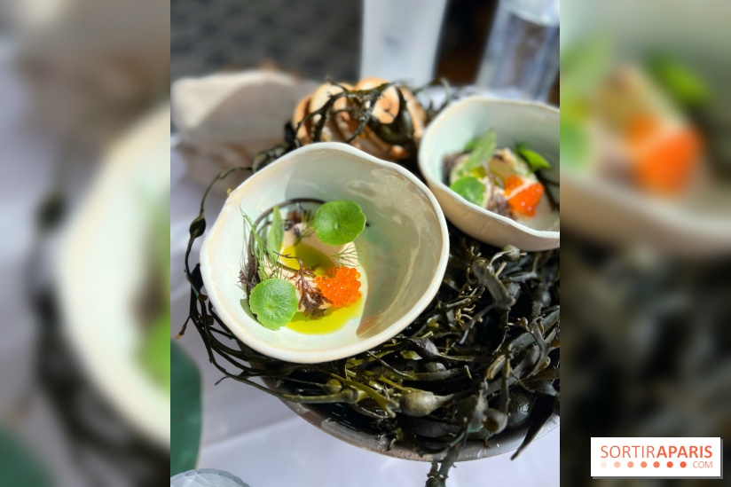 Alice Arnoux au Perchoir Ménilmontant - Tarama