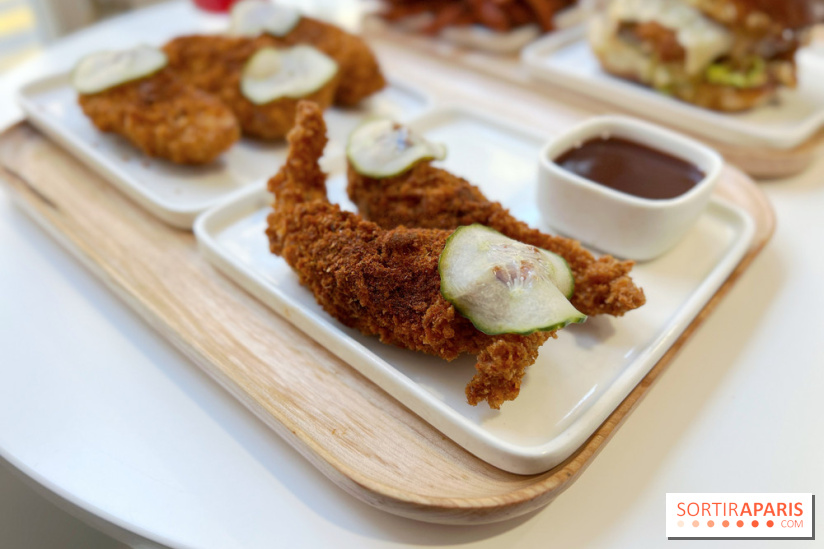 Mosugo - Tenders poulet frit