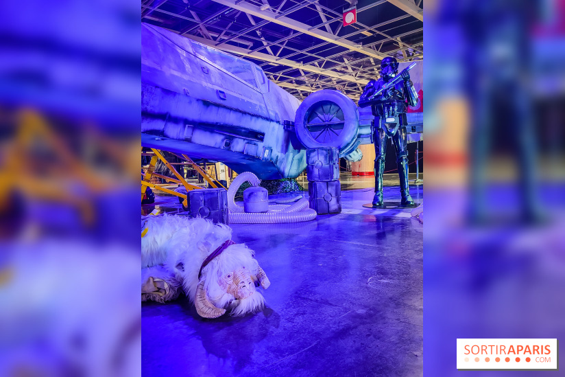 Paris Fan Festival, le salon qui célèbre la pop culture est ouvert à Paris Expo - IMG20230414182444