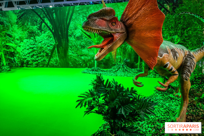 Paris Fan Festival, le salon qui célèbre la pop culture est ouvert à Paris Expo - IMG20230414183101