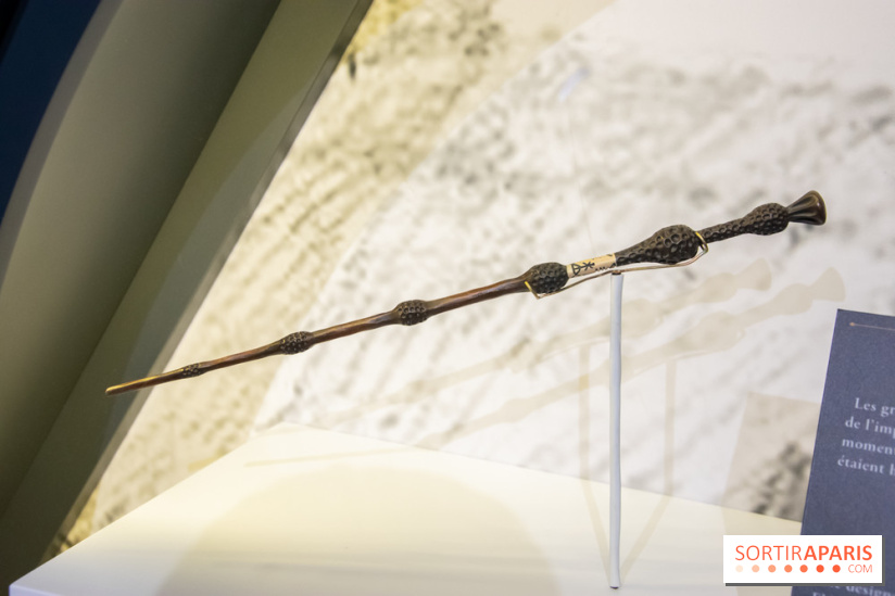 Harry Potter l'exposition baguette de sureau