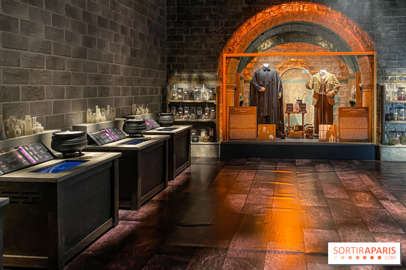 Harry Potter l'exposition cours de potions