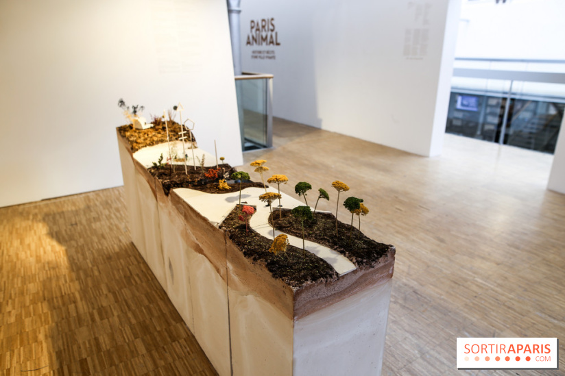 Paris animal la surprenante expo gratuite au Pavillon de l’Arsenal, nos photos Paris animal la surprenante expo gratuite au Pavillon de l’Arsenal, nos photos