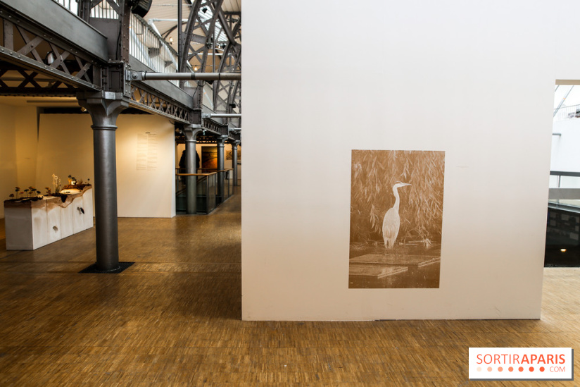 Paris Animal, nos photos de l'expo à Paris