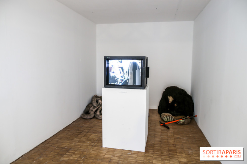 Paris Animal, nos photos de l'expo à Paris