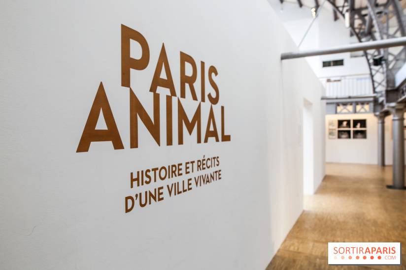 Paris Animal, nos photos de l'expo à Paris