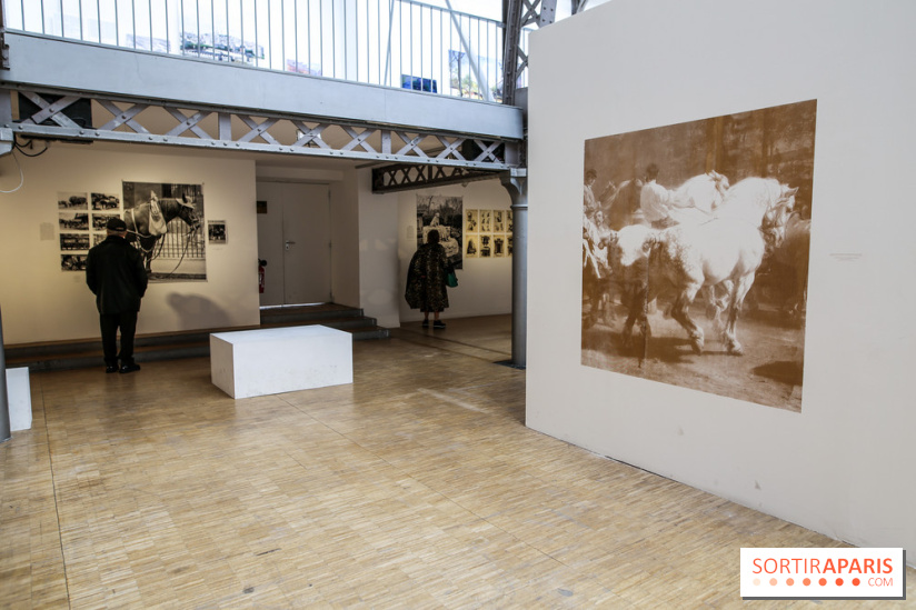 Paris Animal, nos photos de l'expo à Paris