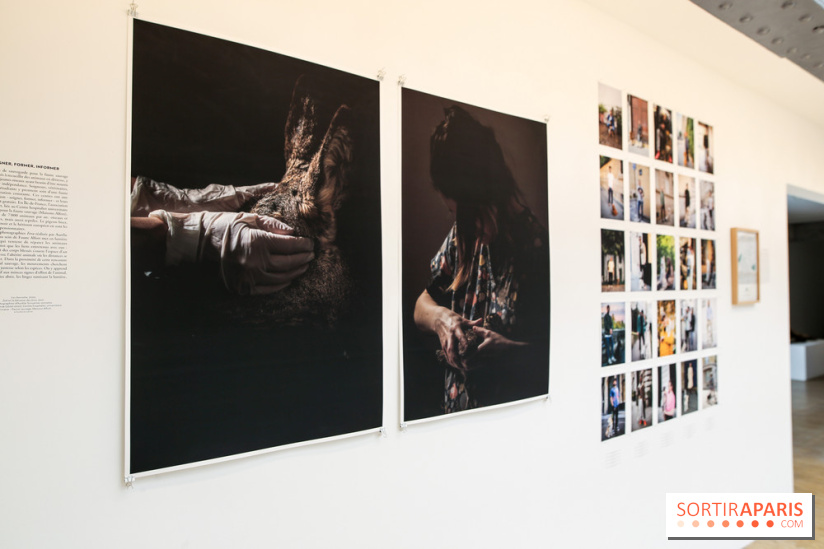 Paris Animal, nos photos de l'expo à Paris
