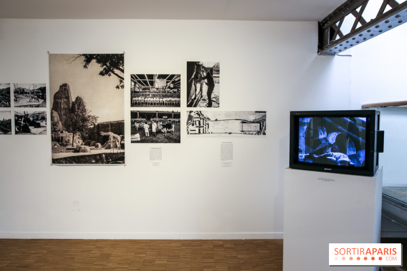 Paris Animal, nos photos de l'expo à Paris