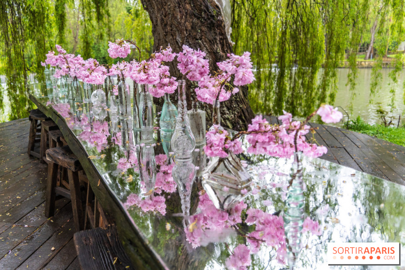 Le Moulin jaune - Hanami 2023 -  A7C1439